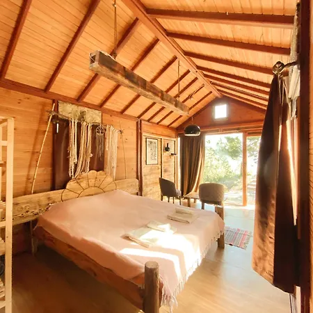 11-11shambala Guest house *