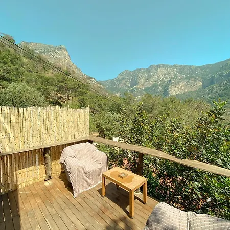11-11shambala Guest house