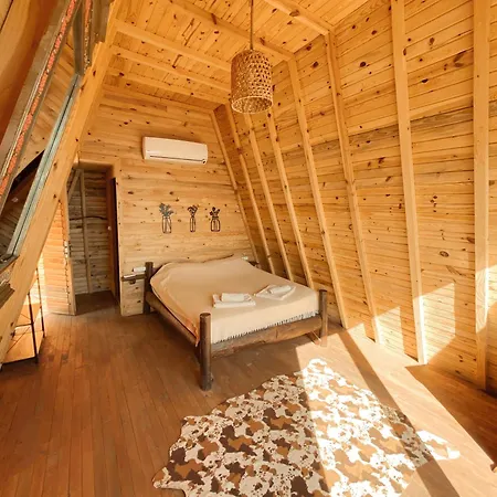 Guest house 11-11shambala *