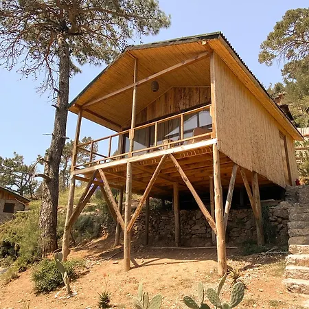 11-11shambala * Fethiye