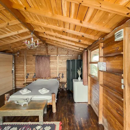 11-11shambala * Fethiye