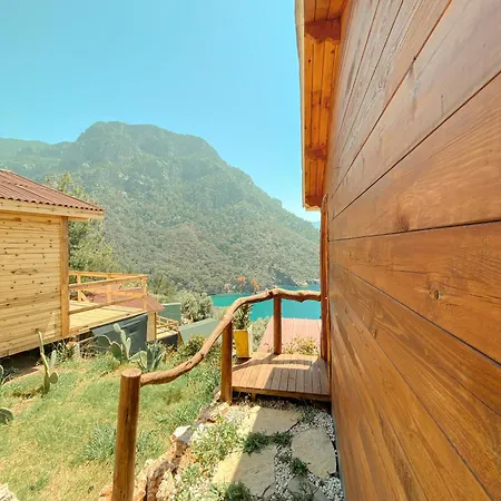 11-11shambala Guest house *