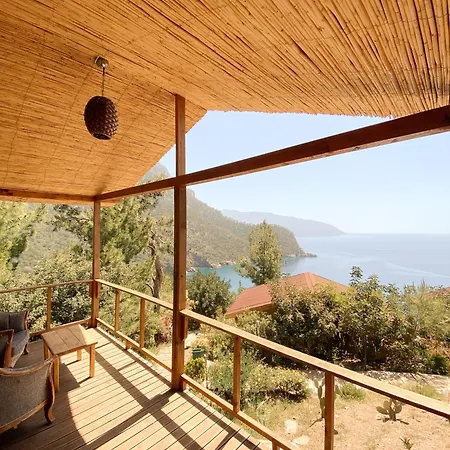 11-11shambala Guest house 4*