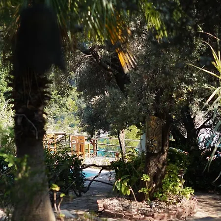 11-11shambala 4* Fethiye