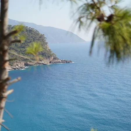 11-11shambala Πανσιόν 3*