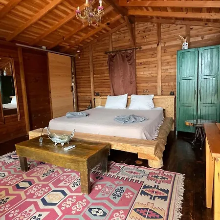 11-11shambala 3* Φετιγιέ
